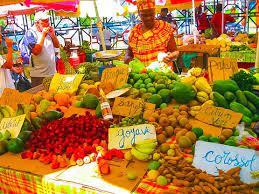 Marche a basse terre 1